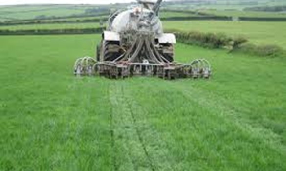 a tank in a field